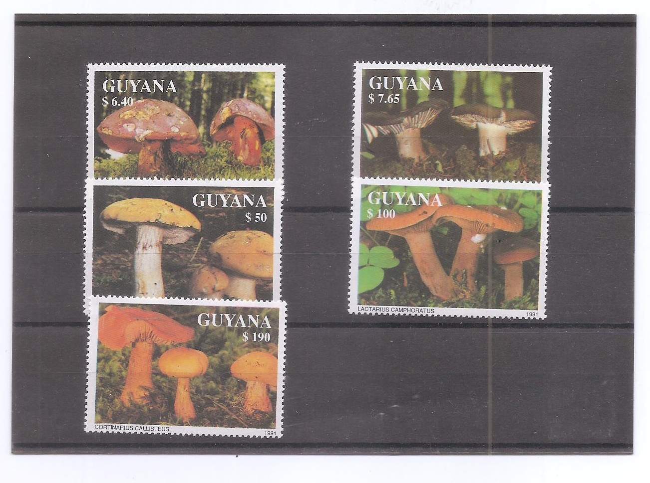 GUYANA DEL AÑO 1991 SETAS